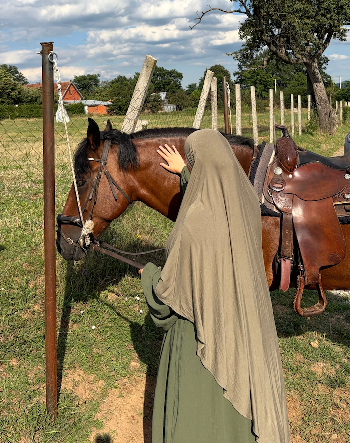 Premium Viscose Jersey Khimar